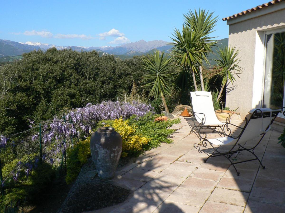 Chambre D'Hote Casa Tozza Porticcio  Εξωτερικό φωτογραφία