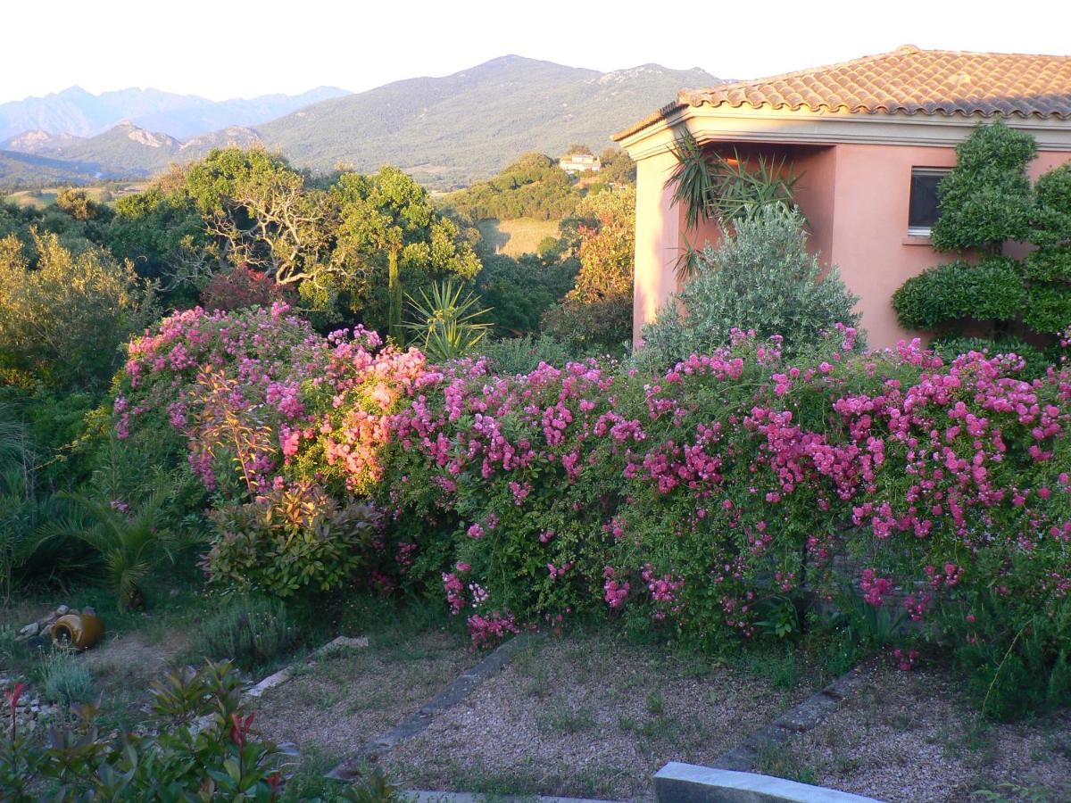 Chambre D'Hote Casa Tozza Porticcio  Εξωτερικό φωτογραφία